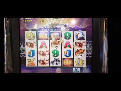 BUFFALO SLOT 8 SPIN BONUS BIG WIN!