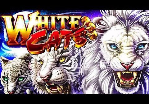 White Cats Slot – RETRIGGER BONUS, VERY NICE!