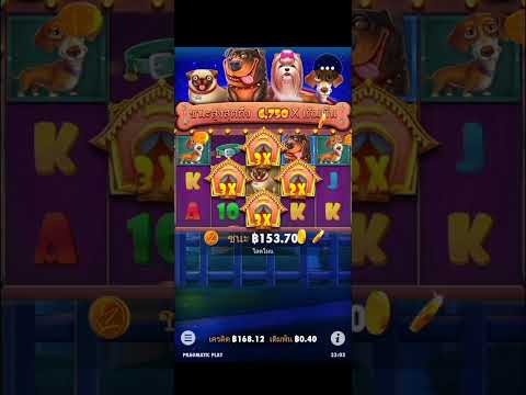 Slot PP   |  The Dog House   Mega Win!!