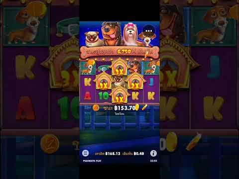 Slot PP   |  The Dog House   Mega Win!!