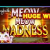 HUGE WIN! Meow Meow Madness Slot – SHOCKING MULTIPLIERS!