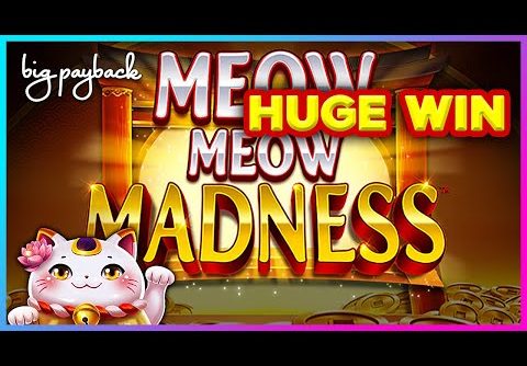 HUGE WIN! Meow Meow Madness Slot – SHOCKING MULTIPLIERS!