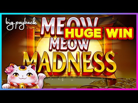 HUGE WIN! Meow Meow Madness Slot – SHOCKING MULTIPLIERS!