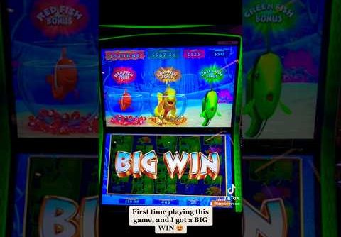 BIG WIN on $1.50 bet on .05 denom!!! 😳😍❤️🎰💰 #bigwin #casino #gambling #slot #slotmachine #bonus