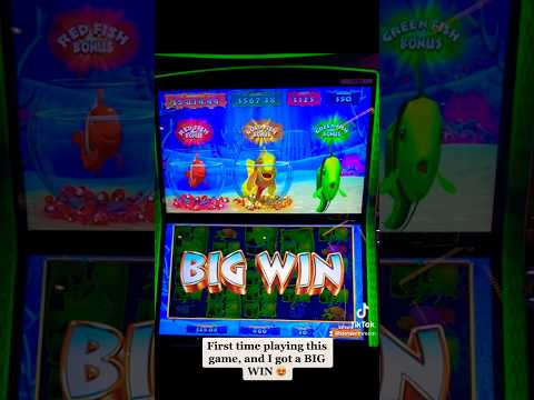BIG WIN on $1.50 bet on .05 denom!!! 😳😍❤️🎰💰 #bigwin #casino #gambling #slot #slotmachine #bonus