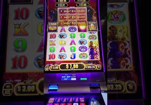 PROOF THAT SLOT MACHINE BONUSES ARE PREDETERMINDED