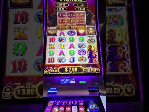 PROOF THAT SLOT MACHINE BONUSES ARE PREDETERMINDED