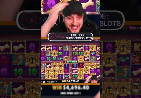 RECORD DOG HOSUE MULTIHOLD SLOT WIN!