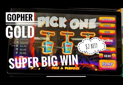 Gopher Gold Super Big Win! Kong, VIP,  and Much More! Bonus Time!
