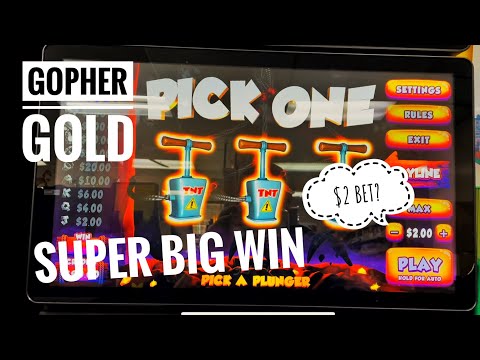 Gopher Gold Super Big Win! Kong, VIP,  and Much More! Bonus Time!