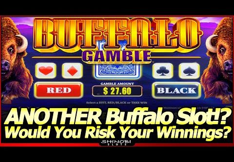 Buffalo Gamble Slot Machine – ANOTHER NEW Buffalo Slot!?  First Look with Bonus and Gamble Feature!