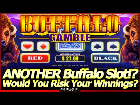 Buffalo Gamble Slot Machine – ANOTHER NEW Buffalo Slot!?  First Look with Bonus and Gamble Feature!