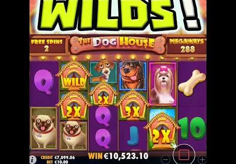 THE DOG HOUSE 🔥 SLOT PAID ME A MEGA BIG WIN AGAIN OMG U HAVE TO SEE THIS BONUS‼️ #shorts