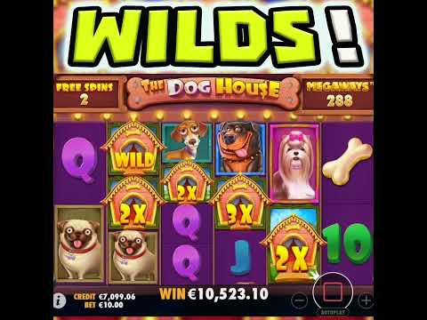 THE DOG HOUSE 🔥 SLOT PAID ME A MEGA BIG WIN AGAIN OMG U HAVE TO SEE THIS BONUS‼️ #shorts