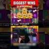 Roshtein Won x1124 at Dog House. #roshtein #gambling #slots #slot #bigwin #biggestwin