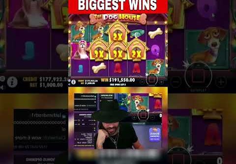 Roshtein Won x1124 at Dog House. #roshtein #gambling #slots #slot #bigwin #biggestwin