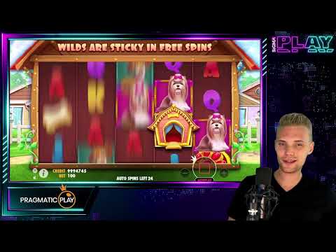 Dog House slot – insane stake slot bonuses!!!!