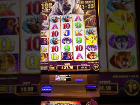 Big win on Buffalo Chief Slot. Playing slots at Pala Casino in North County San Diego California