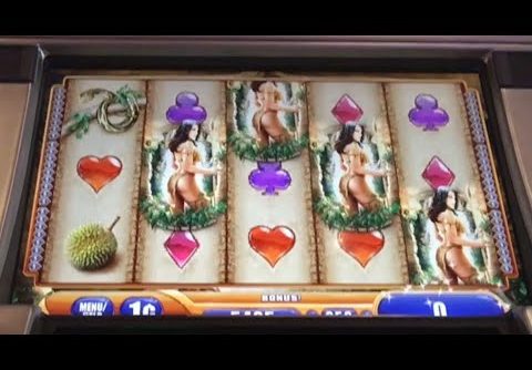 QUEEN OF THE WILD SLOT 4 SYMBOL BONUS TRIGGER!! BIG WIN AND PROGRESSIVE