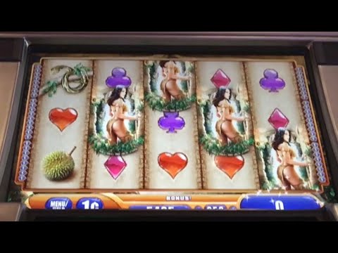 QUEEN OF THE WILD SLOT 4 SYMBOL BONUS TRIGGER!! BIG WIN AND PROGRESSIVE