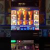 Wildlife slot VLT Massive 6 grand win !!