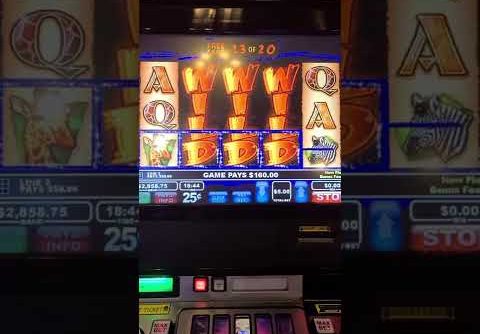 Wildlife slot VLT Massive 6 grand win !!