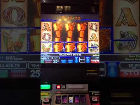 Wildlife slot VLT Massive 6 grand win !!