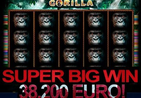 Gorilla slot   SUPER BIG WIN 22,000 euros with bonus game, 3 scatters!!!!