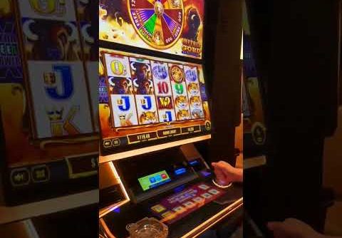 Big Win on Buffalo Gold! #casino #slot #bigwin #slotmachine