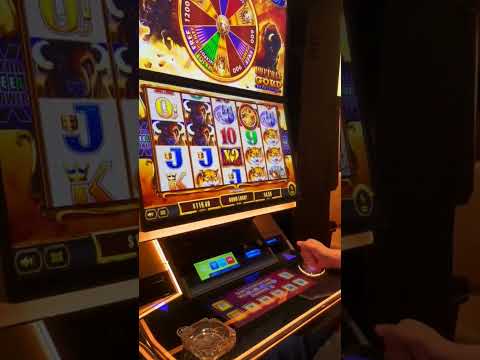 Big Win on Buffalo Gold! #casino #slot #bigwin #slotmachine