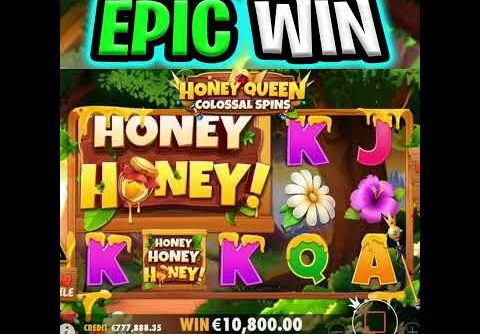 My Biggest Win Ever Honey Honey Slot 🐝 can we get a Full Screen on this Epic Bet⁉️ #shorts