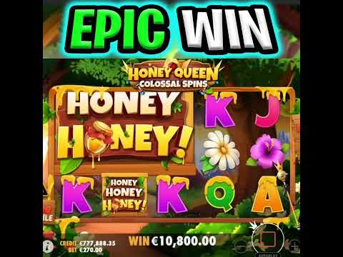 My Biggest Win Ever Honey Honey Slot 🐝 can we get a Full Screen on this Epic Bet⁉️ #shorts