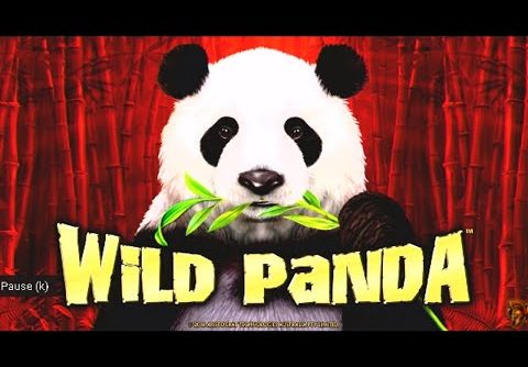 MEGA PROFITABLE JACKPOT WINS ON WILD PANDA WONDER WHEEL A REAL SLOT MACHINE JACKPOT