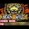 Born Wild Slot Mega Win x791