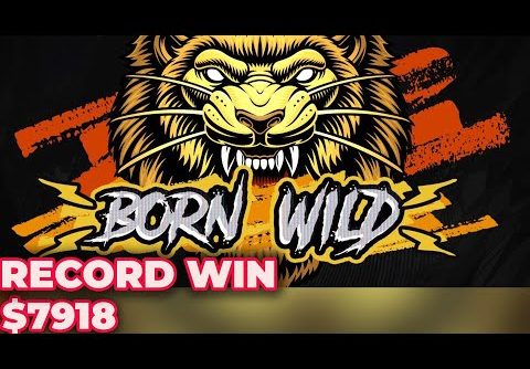 Born Wild Slot Mega Win x791