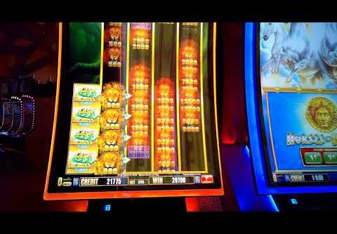 Savanna Lion – CASH ACROSS Slot Machine Bonus – Big Win on new slot machine at Mohegan Sun