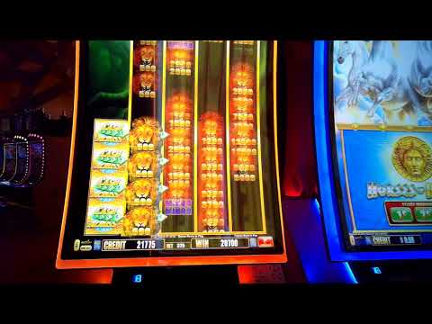 Savanna Lion – CASH ACROSS Slot Machine Bonus – Big Win on new slot machine at Mohegan Sun