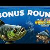 Nice Catch Doublemax Slot 🐠 SUPER BIG WINS!