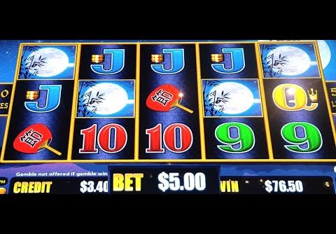 dragon link pokie wins $5 bets big win