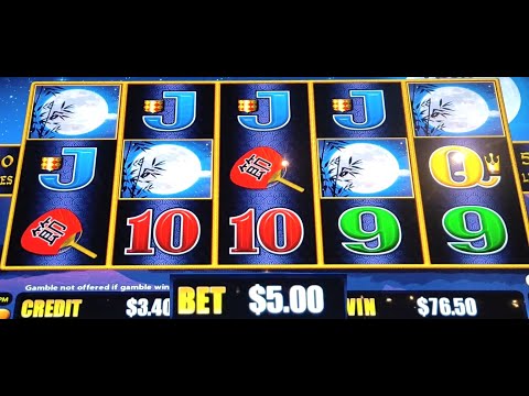 dragon link pokie wins $5 bets big win