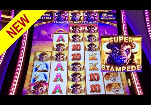 BIG WIN SUPER STAMPEDE Feature | NEW SLOT Buffalo Ascension Slot | Live Slot Play | NEW SLOTS 2022