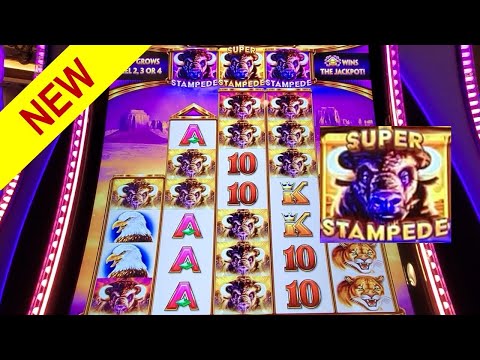 BIG WIN SUPER STAMPEDE Feature | NEW SLOT Buffalo Ascension Slot | Live Slot Play | NEW SLOTS 2022