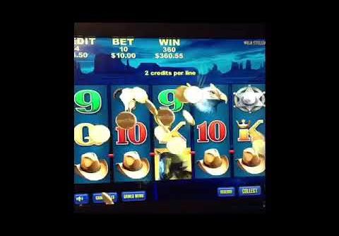 😍 WILD STALLION BIG WIN POKIES SLOTS