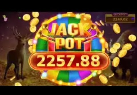 Safari of wealth slot jackpot 😱||Safari of wealth slot super win||Teen patti gold, Master, Jackpot