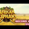 African Elephant Slot Mega Win x397