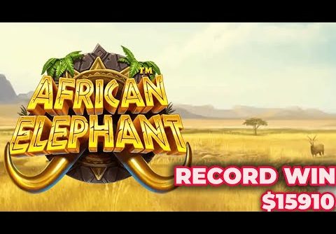 African Elephant Slot Mega Win x397