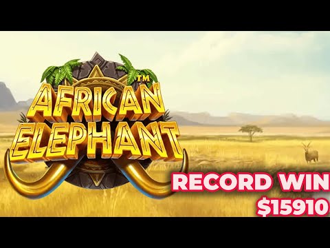 African Elephant Slot Mega Win x397