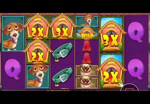 DAILY TOP MEGA, BIG, MAX WINS IN ONLINE CASINO 💰 BEST SLOTS 💰 ONLINE CASH GAMES