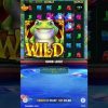 Wild Hop & Drop 🐸 Slots 🐸 Mega Win