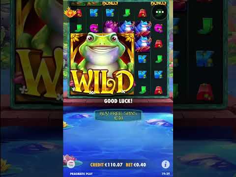 Wild Hop & Drop 🐸 Slots 🐸 Mega Win